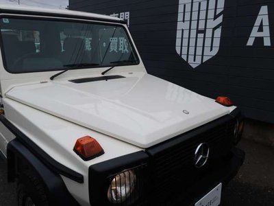 صورة مصغرة 21 لـ 1988 Mercedes-BENZ G-CLASS