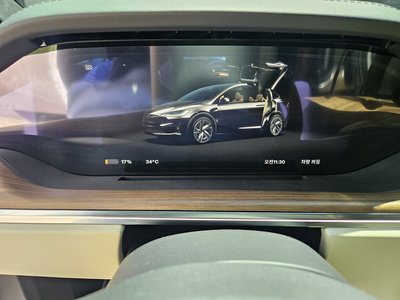 2026 Tesla MODEL X 照片 8
