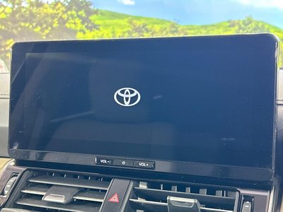 2025 Toyota LAND CRUISER 300 照片 5