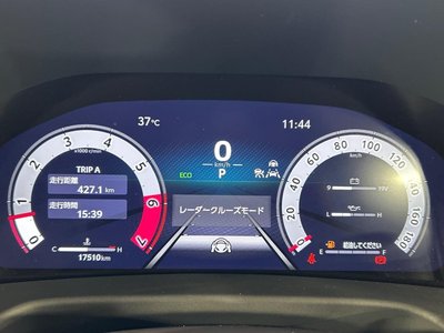 2025 Toyota LAND CRUISER 300 — миниатюра 28