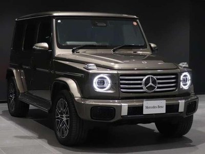 2025 Mercedes-BENZ G-CLASS — фото 8