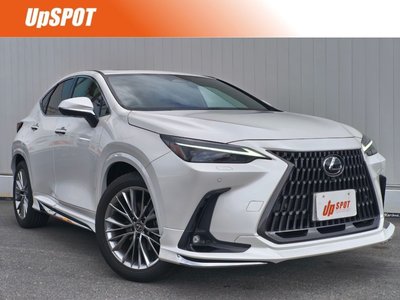 LEXUS NX - 1