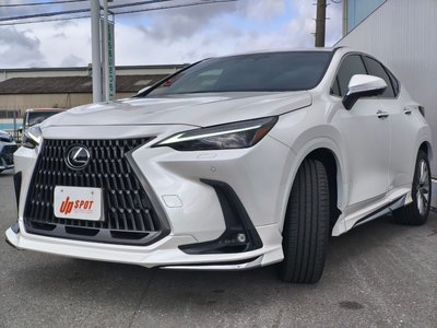 LEXUS NX - 8
