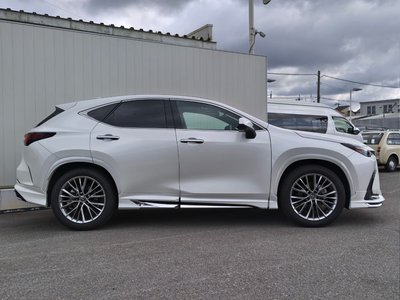 LEXUS NX - 10