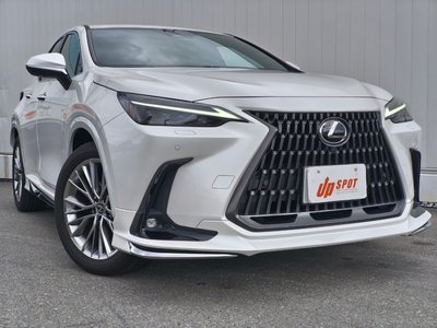 LEXUS NX - 6