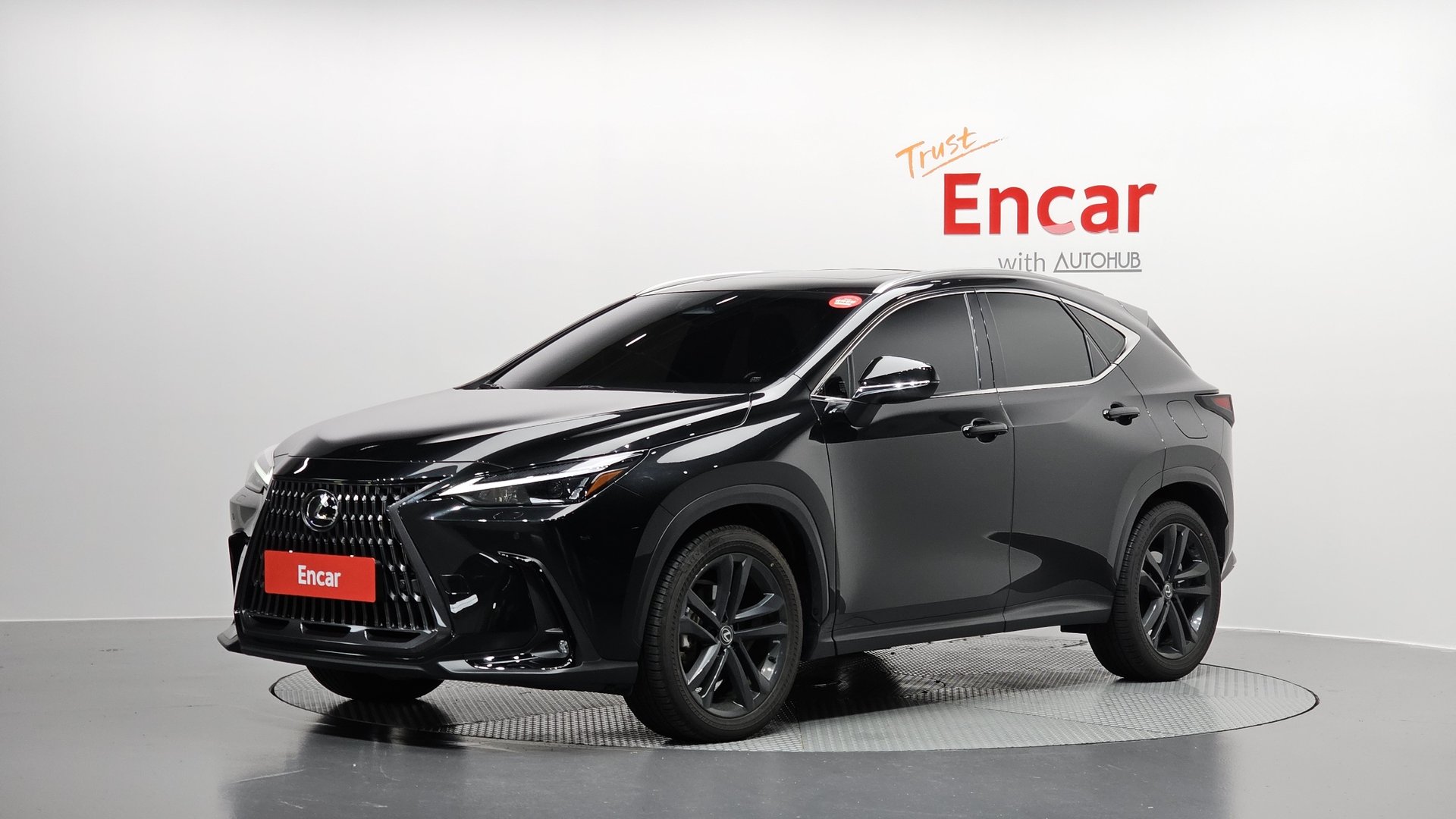 LEXUS NX - View 1