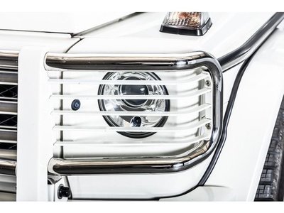 2009 Mercedes-BENZ G-CLASS AMG thumbnail 12