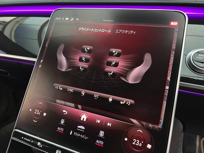 2021 Mercedes-BENZ S-CLASS 缩略图 81