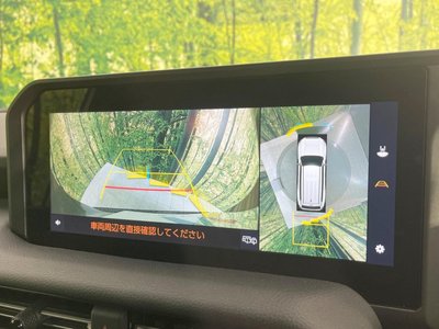 TOYOTA LAND CRUISER 250 - 6