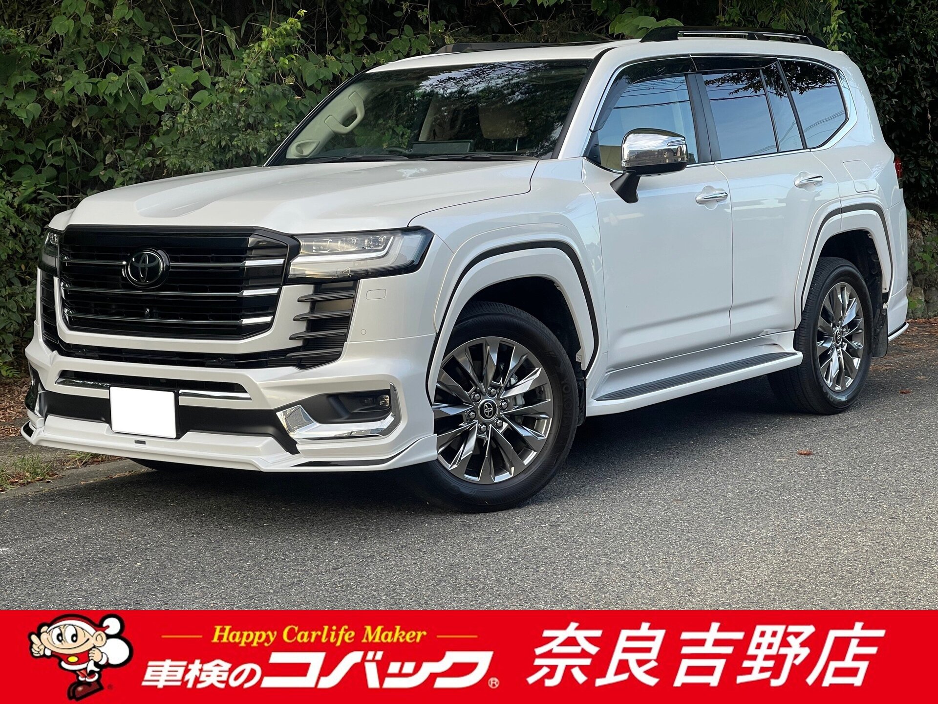 TOYOTA LAND CRUISER 300 - View 1