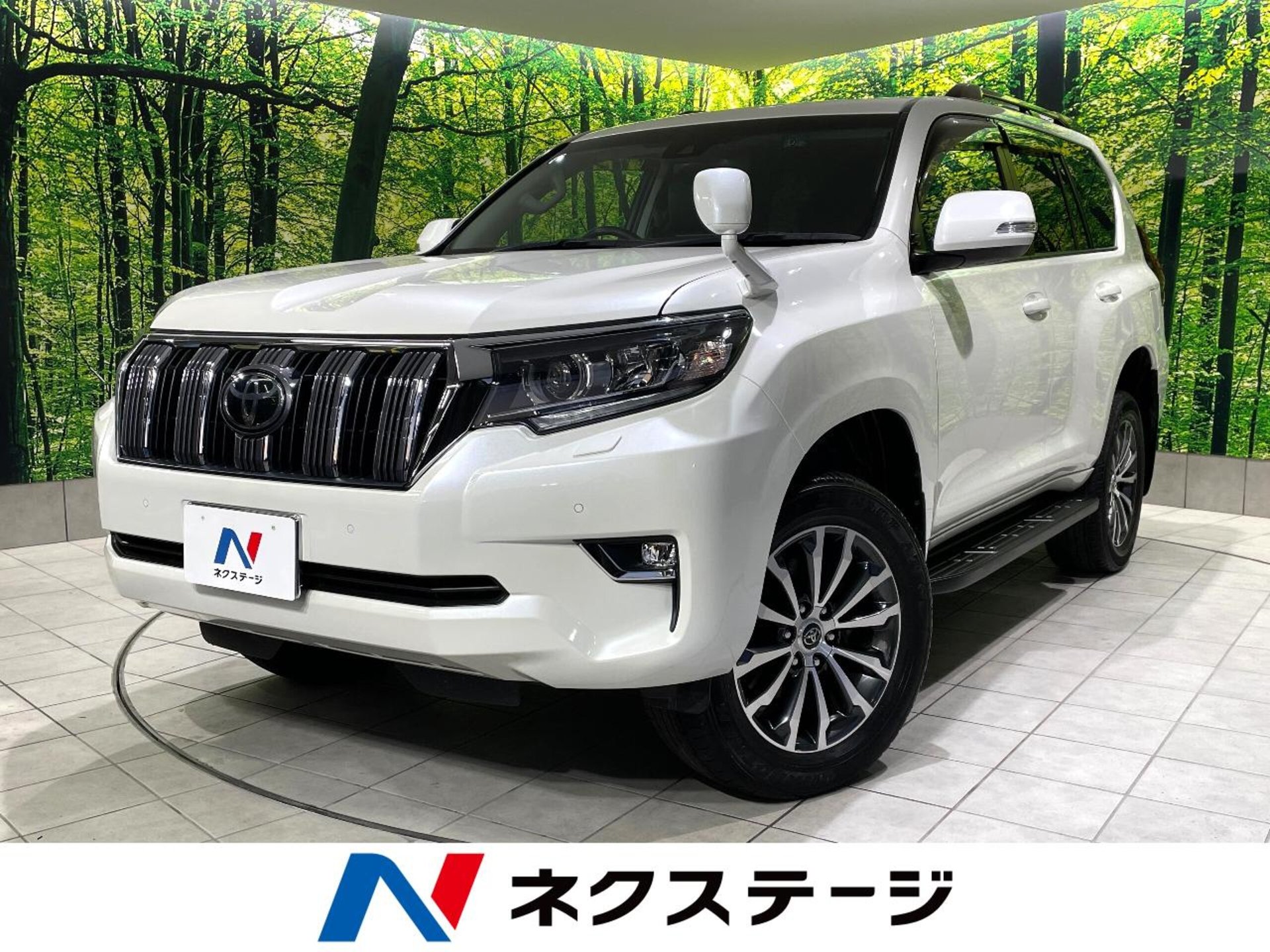 TOYOTA LAND CRUISER PRADO - View 1