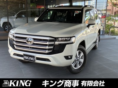 TOYOTA LAND CRUISER 300 - 1