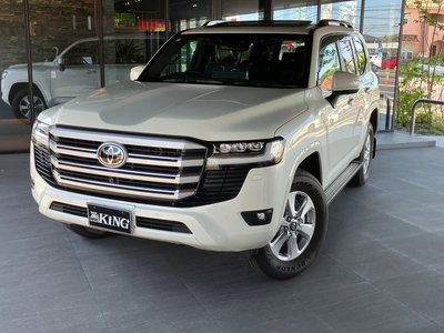 2025 Toyota LAND CRUISER 300 缩略图 45