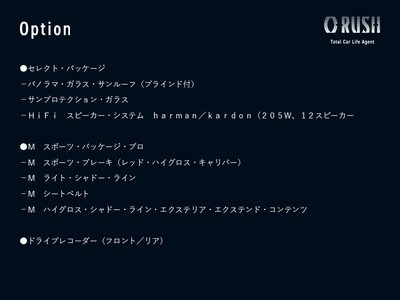 BMW 5 SERIES TOURING - 2