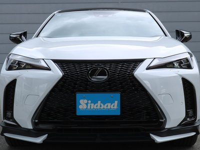 صورة مصغرة 22 لـ 2023 Lexus UX