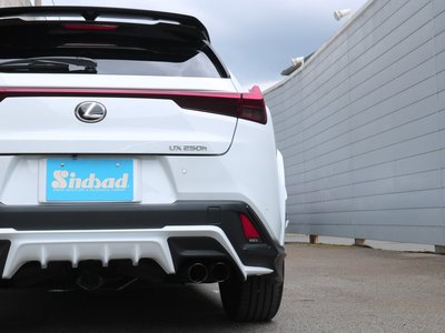 صورة مصغرة 43 لـ 2023 Lexus UX