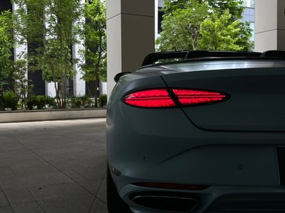 Thumbnail 28