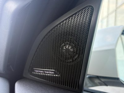 2025 BMW X3 thumbnail 55