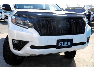 TOYOTA LAND CRUISER PRADO - 10