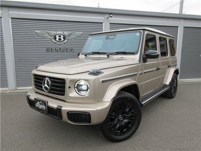 MERCEDES-BENZ G-CLASS - 1