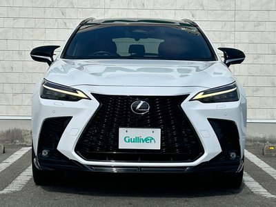 LEXUS NX - 10