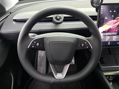 2025 Tesla MODEL Y thumbnail 20