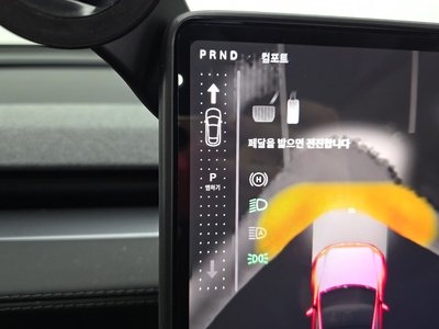 2025 Tesla MODEL Y thumbnail 12