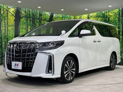 2022 TOYOTA ALPHARD thumbnail 27