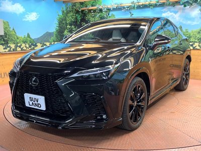 2023 Lexus NX — миниатюра 52