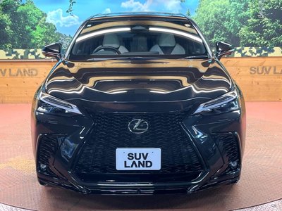 2023 Lexus NX — миниатюра 16
