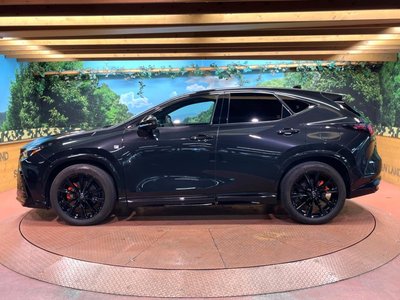 2023 Lexus NX — миниатюра 51