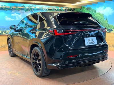 2023 Lexus NX — миниатюра 57