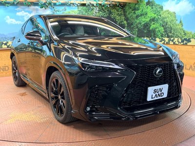 2023 Lexus NX — миниатюра 53