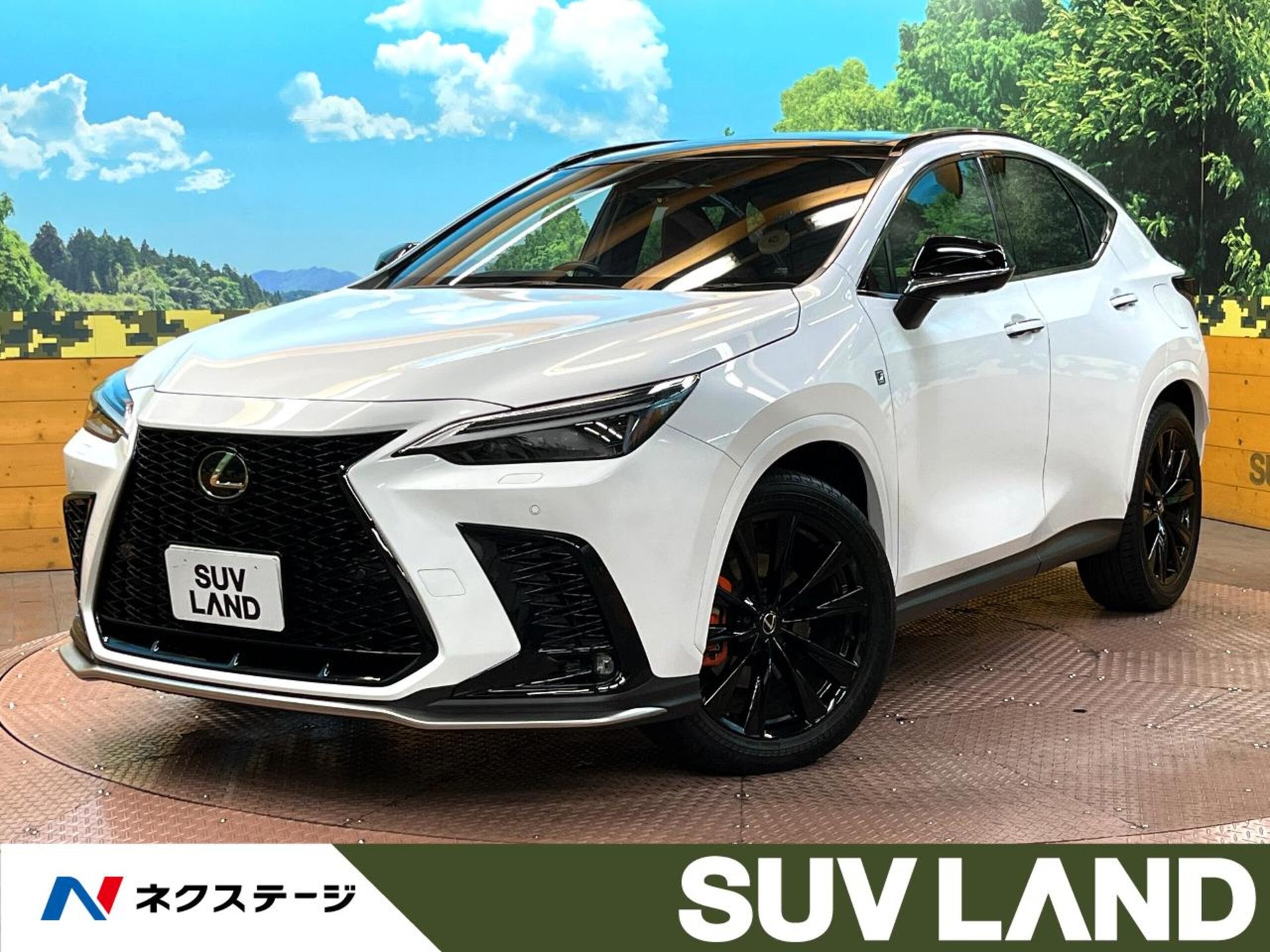 LEXUS NX - View 1