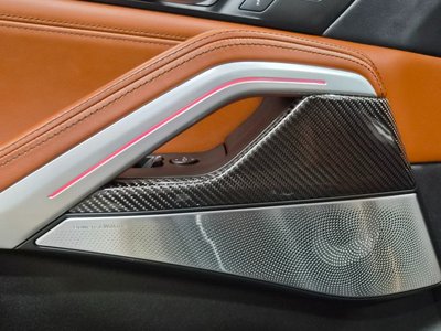 2021 BMW X6 缩略图 17
