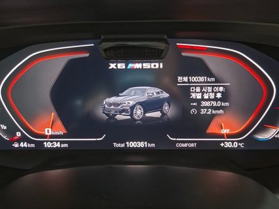 2021 BMW X6 照片 8