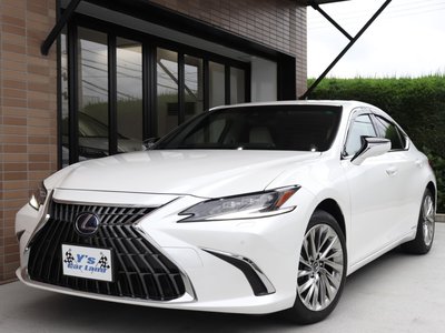 2021 LEXUS ES 照片 10