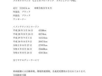 MERCEDES-BENZ G-CLASS - 2