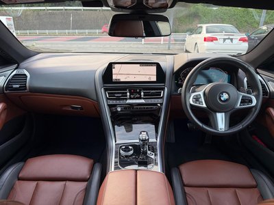 2019 BMW 8 SERIES — миниатюра 33