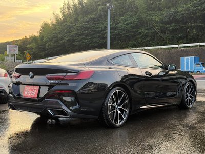 2019 BMW 8 SERIES — миниатюра 6
