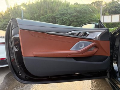 2019 BMW 8 SERIES — миниатюра 29