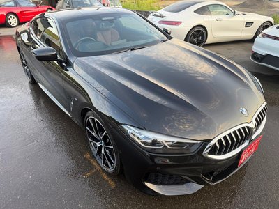 2019 BMW 8 SERIES — миниатюра 10