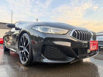 2019 BMW 8 SERIES — миниатюра 14