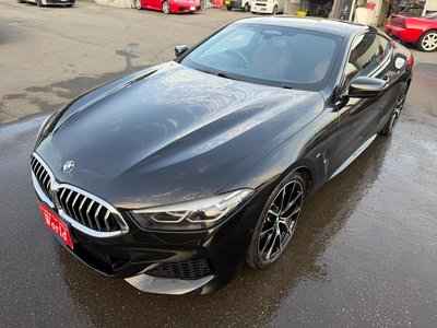 2019 BMW 8 SERIES — миниатюра 8