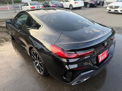 2019 BMW 8 SERIES — миниатюра 11