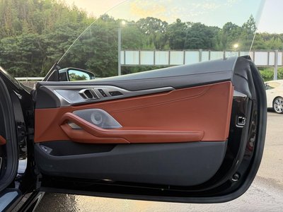 2019 BMW 8 SERIES — миниатюра 32