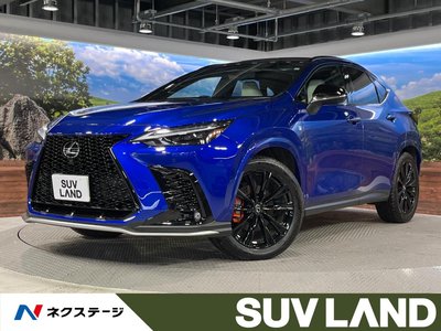 LEXUS NX - 1
