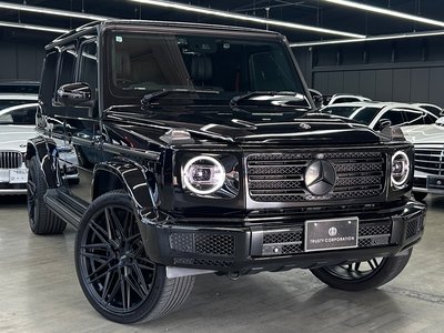 2019 Mercedes-BENZ G-CLASS — миниатюра 21