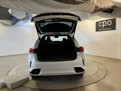 2024 Lexus RX — миниатюра 22