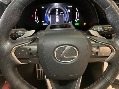2024 Lexus RX — миниатюра 16